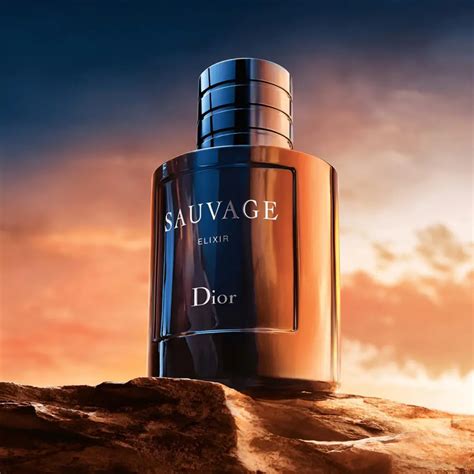 savauge dior|Dior Sauvage best price.